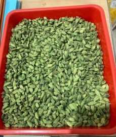 Green Cardamom Pods