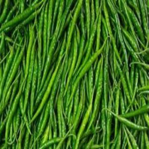 g4 Green Chilly