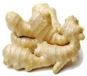 Ginger