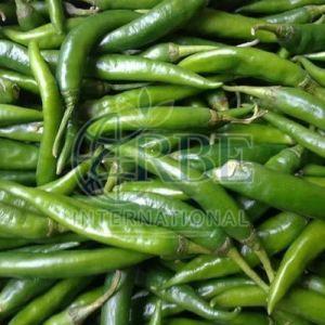 Fresh A Grade Green Chilli