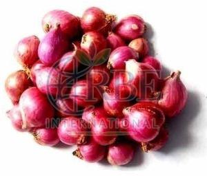 Fresh Small Red Onion