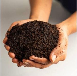 Vermi Compost