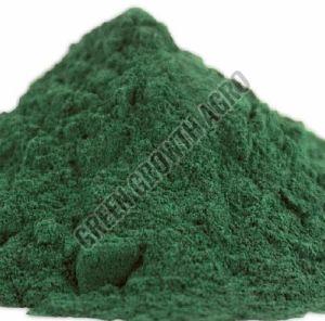 Dried Spirulina Powder