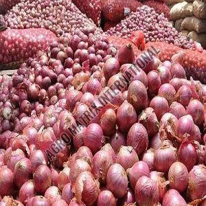Pink Onions