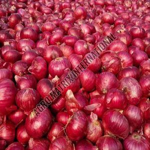Red Onion