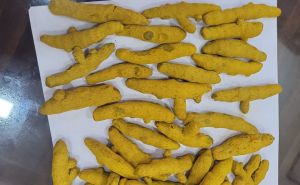 Double Polished Turmeric Finger