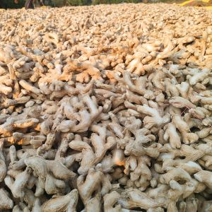 Deluxe Dry Ginger