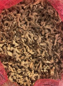 Dry Ginger