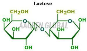 Lactose Pharmaceutical Excipient