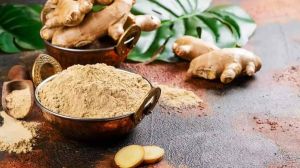 Ginger Powder