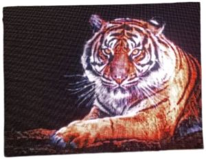 LED Video Screen 12 X 12 Inch