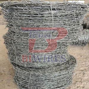 12 X 14 Mm Galvanized Iron Barbed Wire Fencing