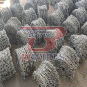 25 Feet Galvanized Iron Fencing Barbed Wire