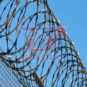 Cross Razor GI Concertina Coil Fencing