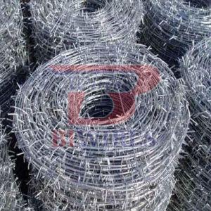 Hot Rolled Mild Steel Barbed Wire