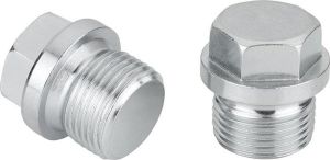 Stainless Steel Polished Din 910 Hexagon Head Screw Plug