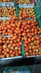 Fresh Red Tomato
