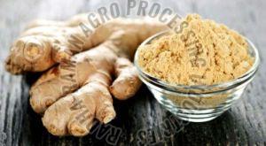 Dehydrated Ginger Powder