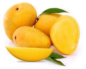 A Grade Fresh Alphonso Mango
