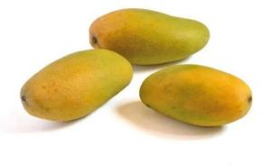 Fresh Mango