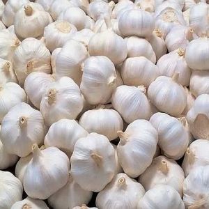 A Grade Fresh White Garlic