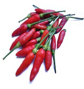 Red Bird Eye Chilli