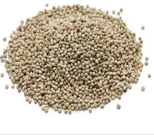 White Perilla Seeds