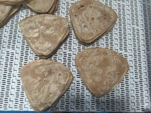 Frozen Readymade Paratha