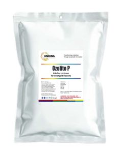 Alkaline Protease for Detergent Industry