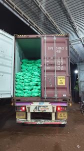 Semi Husked Coconuts