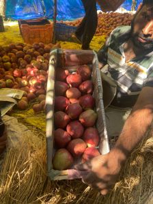 Kashmiri Apple Delicious
