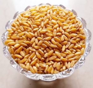 Organic Bansi Wheat