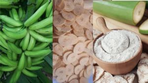 Nendran Raw Banana Powder