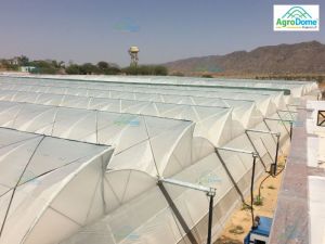 Polyethylene Polyhouse Plastic Sheet