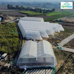 Farming Polyhouse