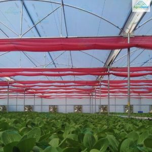 Farming Polyhouse