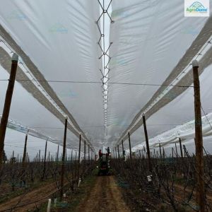 Cherry Orchard Structure for Rain Protection