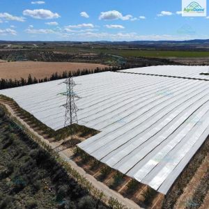 Cherry Orchard Structure for Rain Protection