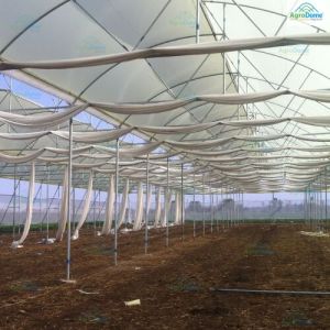 Dome Roof Net House