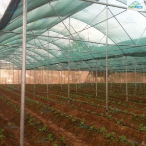Dome Roof Net House