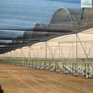 Dome Roof Net House