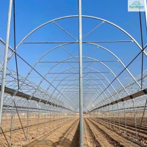 Dome Roof Poly Net House