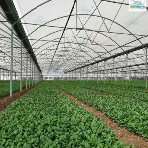 Dome Roof Poly Net House