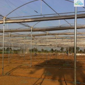 Dome Roof Poly Net House
