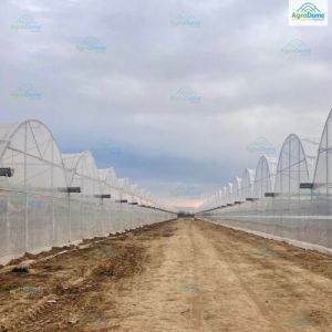 Dome Roof Poly Shade Net House