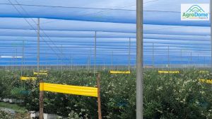 Flat Roof Net House with Rain Protection