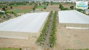 Flat Roof Net House with Rain Protection
