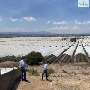 Multi Span Poly Tunnel Structure