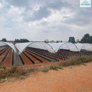 Multi Span Poly Tunnel Structure