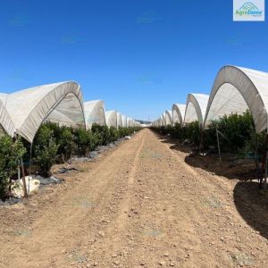 Multi Span Poly Tunnel Structure